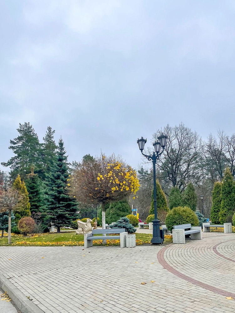 Осенняя панорама леса и парка Тольятти Прилесье