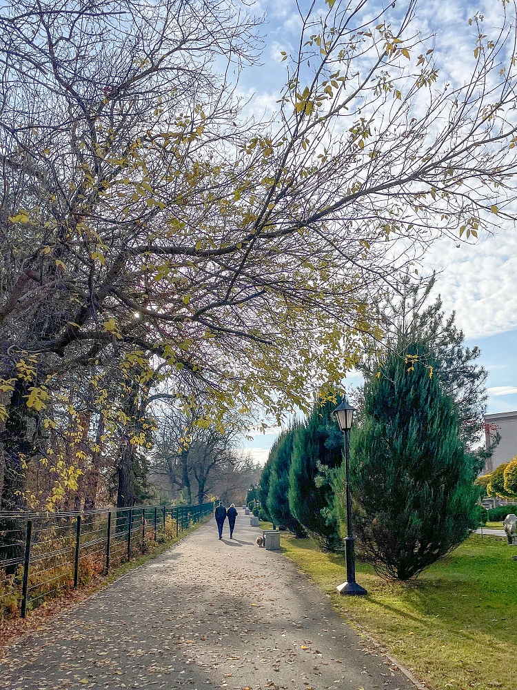 Поздняя осень Тольятти